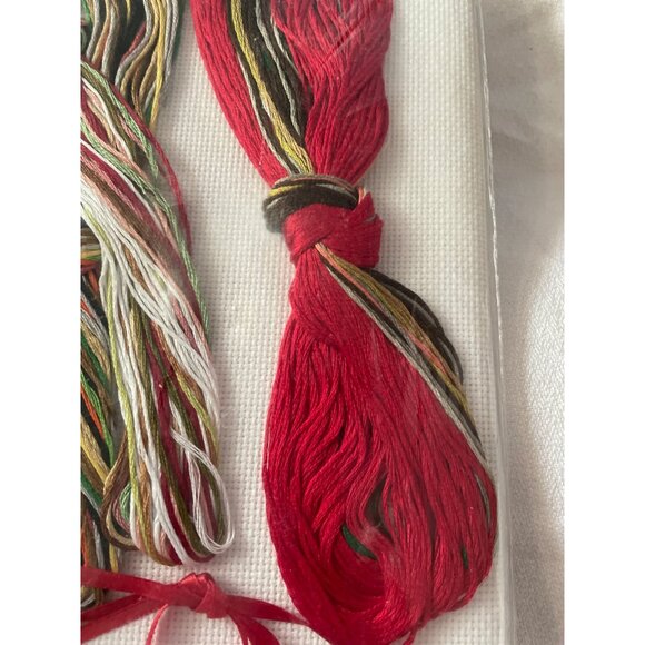 Janlynn Suzys Zoo II Christmas Cross Stitch Kit Set Of 8 Ornaments - Picture 12 of 15